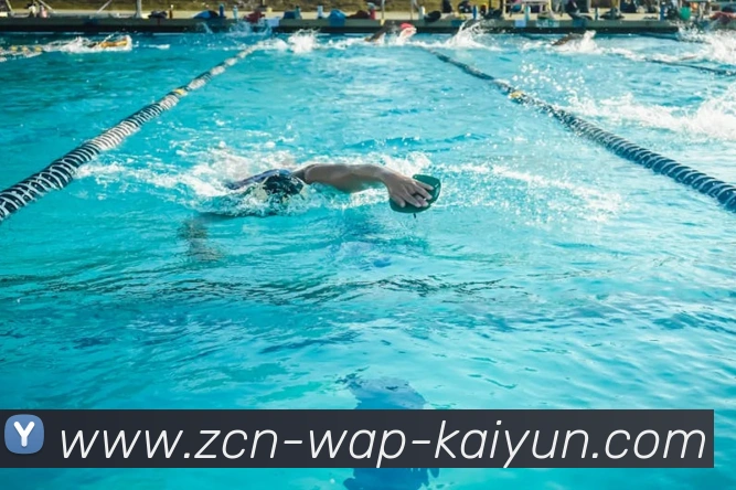 开云平台生态图